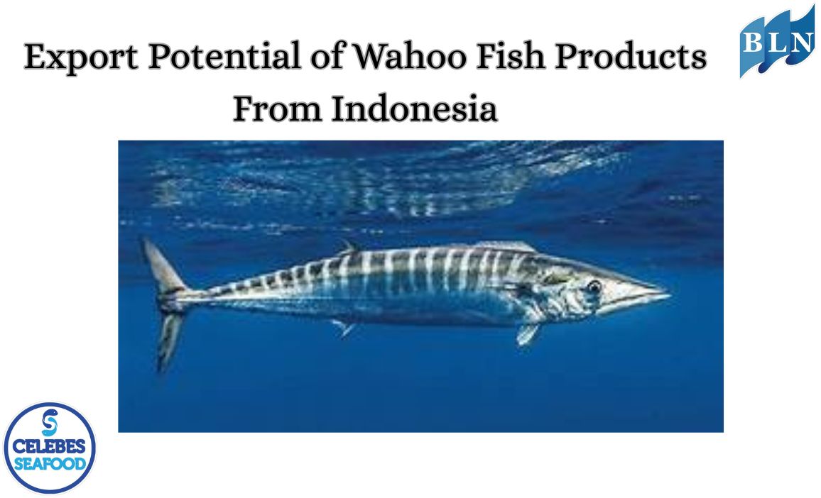 Export Potential of Wahoo Fish Products From Indonesia